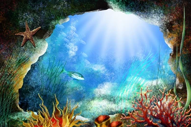 Sea Life Wallpapers   Wallpapers Cave