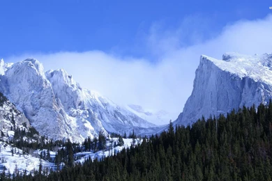 Rocky Mountain National Park, California, Usa, Forest, Tree ...
