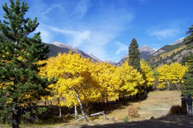 Colorado Rocky Mountains Fall Color Wallpapers