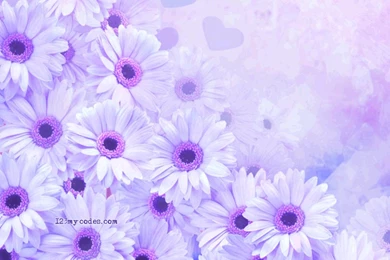 Flowers Background Images   Widescreen HD Wallpapers