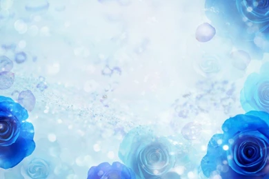 Flowers Backgrounds Flower Wallpaper Images Of Flower 16