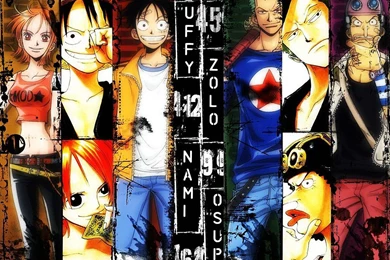 One Piece Anime Character Wallpapers 1024x768 NO.13 Desktop ...