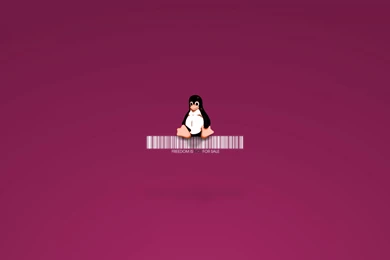 Linux Penguin Wallpapers
