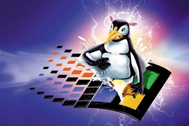 Computer: Max Linux Penguin, Picture Nr. 44530