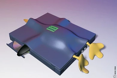 Tux Penguin   3D Linux Penguin Wallpapers 21   Wallcoo.net