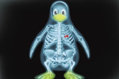 Wallpapers Radiation Linux Medical For The Penguin 1024x768 ...