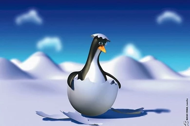 Tux Penguin   3D Linux Penguin Wallpapers 1   Wallcoo.net