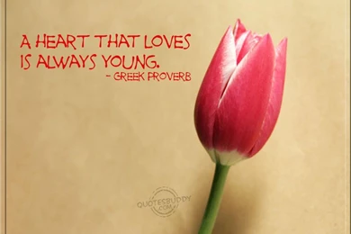 Excellent_cute love quotes wallpapers for desktop.jpg