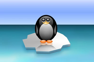 Linux Tux Penguins Wallpapers