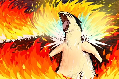 Typhlosion