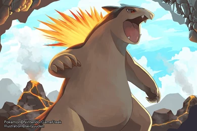 Typhlosion Favourites By Shikamarunara91 On DeviantArt