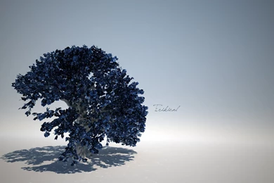 Backgrounds, High, Resolution, Gallery, Tree, Art (