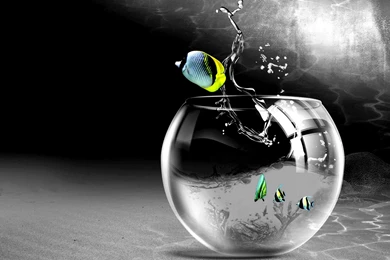 Cg Digital Art Bowl Aquarium Glass Drops Splash High Resolution ...