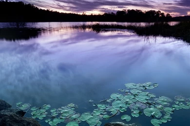 Place Of Zen iPad Air Wallpapers Download