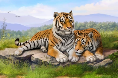 Crysis 2 Fan Art Wallpapers