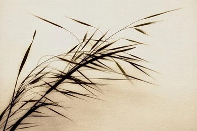 Zen   Enso Wallpapers Pack By Oliwr On DeviantArt