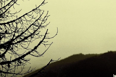 Negura Bunget Album Covers Black Metal Progressive Folk Wallpapers ...