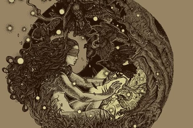 Animals,mountain Lions Animals Mountain Lions Baby Animals ...