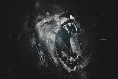 Powerful Lion Roar Wallpapers Hd Backgrounds   HDWallpapers
