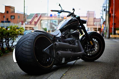 Black Powerful Harley Davidson 1680x1050 Wallpapers