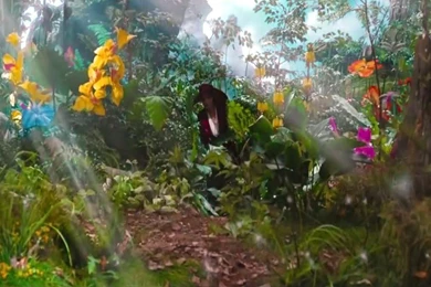 Download OZ The Great And Powerful Wallpapers HD – Free WordPress ...