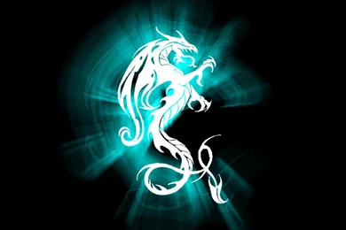 Dragon Logo Sign