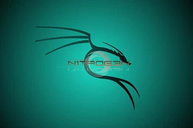 N1tr0g3n Dragon Logo Wallpapers By N1tr0g3n 0x1d3 On DeviantArt