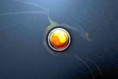 Design Dragon Artwork Logo Emblem Games Mortal Combat HD Wallpapers ...