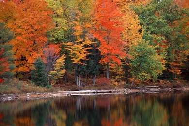 Nice Hd Wallpaper Backgrounds Desktop Wallpapers Hd Desktop ...