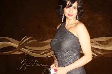 All 4u Stars Wallpaper: Beautiful Gul Panag HD Wallpapers