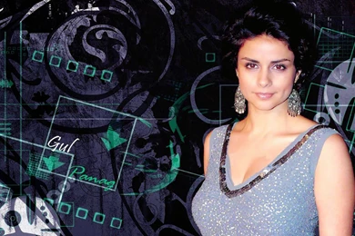 Gul Panag HD Wallpapers