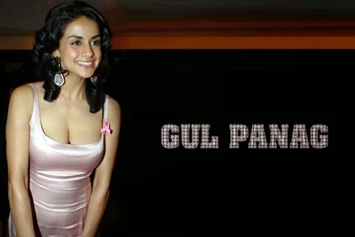 Wallpapers Joo: Gul Panag FUll HD Wallpapers