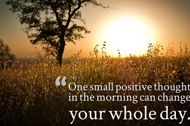 Share And Download Good Morning Wallpapers With Quotes – Good Night ...