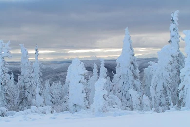 File:Snow Wallpaper.jpg Wikimedia Commons