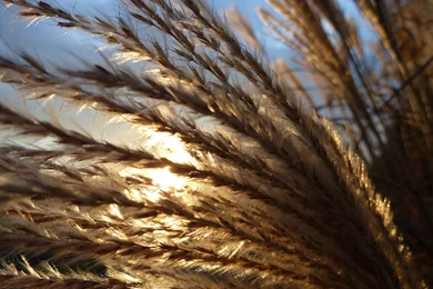 3) October Images For Desktop Wallpapers