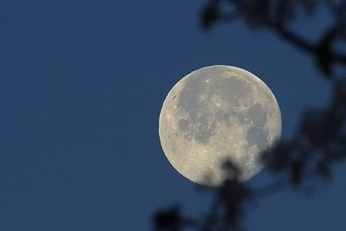 Public Domain Image Free Picture Of Winter Moon At Night