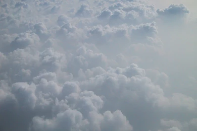 Free Download Wallpapers HD : February 2015