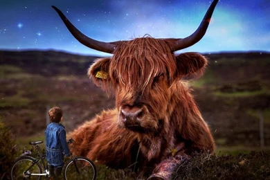 Digital Art: Nice To Meet You