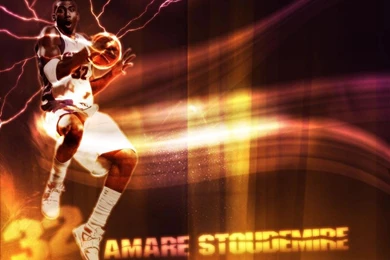 Wallpapers Amare Stoudemire 1024x768