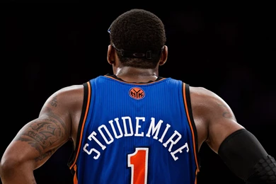 Stoudemire Posterga Debut Con Mavs   RIOJA DEPORTES