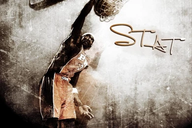 2007 08 Phoenix Suns: Amare Stoudemire