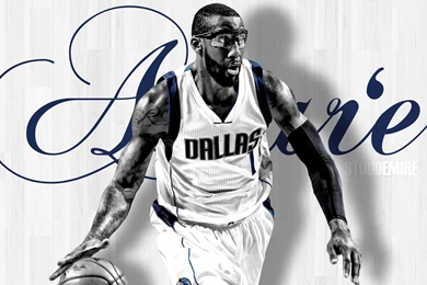 Dallas Mavericks Sign Free Agent Amar'e Stoudemire   Official ...