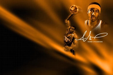 2007 08 Phoenix Suns: Amare Stoudemire