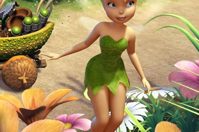 Tinkerbell Ipad Tinkerbell Hd Wallpaper Backgrounds   (