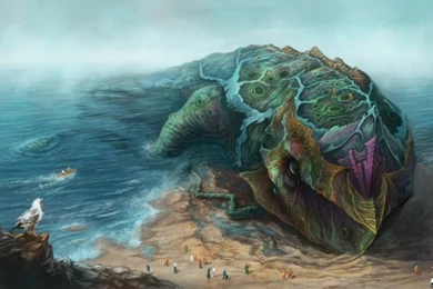 Fish 1920x1080 Wallpapers – Animals Fish HD Desktop Wallpapers