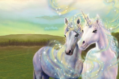 My Secret Unicorn   Wallpapers 1 / 800x600