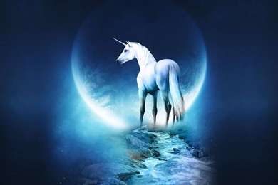 Free Unicorn Wallpapers   Wallpapers Cave