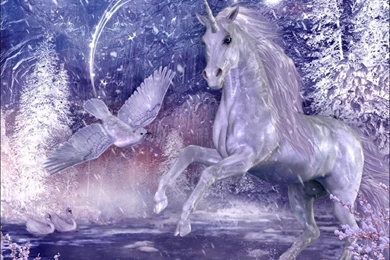 60 Unicorn HD Wallpapers