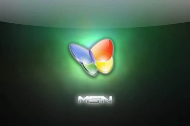 Msn Backgrounds   Wallpapers Cave