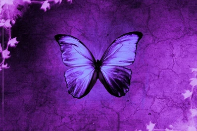 Black Powerpoint Templates   Page 11 Of 16   Free PPT Backgrounds